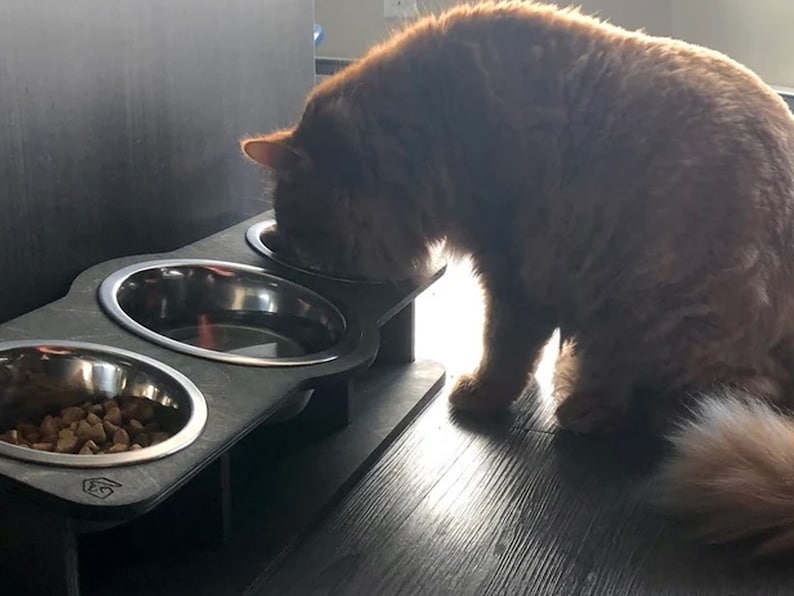 tilted triple stand with larger water bowl in the middle in use