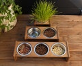 Cat Wooden Bowl Stand 350ml /1.5 cups, Elevated Feeding Station for Cats or Small Dogs; Single, Double or Triple Raised Cat Food Stand product logo