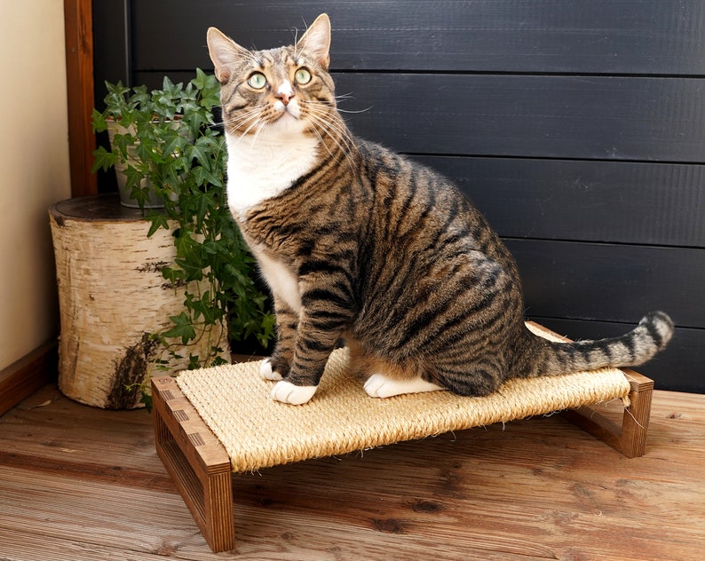 Modern Floor Cat Scratcher Cat Sisal Horizontal Board Cat Etsy
