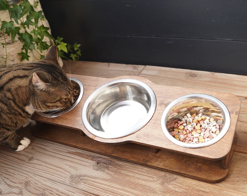 tilted cat and small dog feeding station