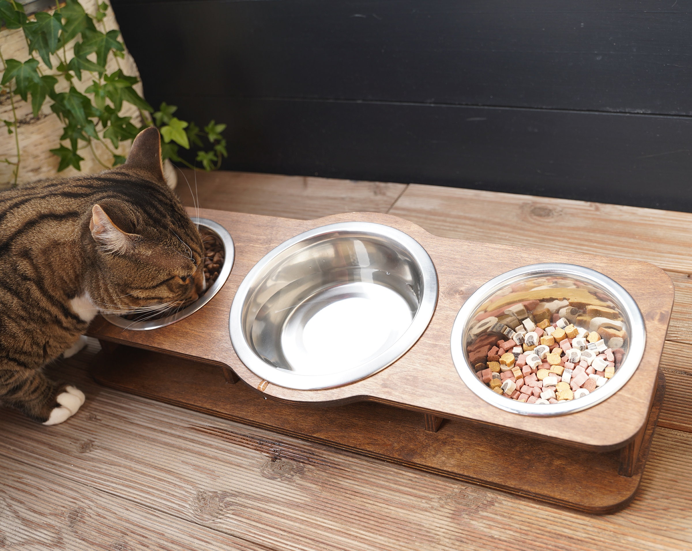 GAPZER Raised Cat Bowl with Detachable Stand 15° Tilted Adjustable Elevated Pet Feeder 