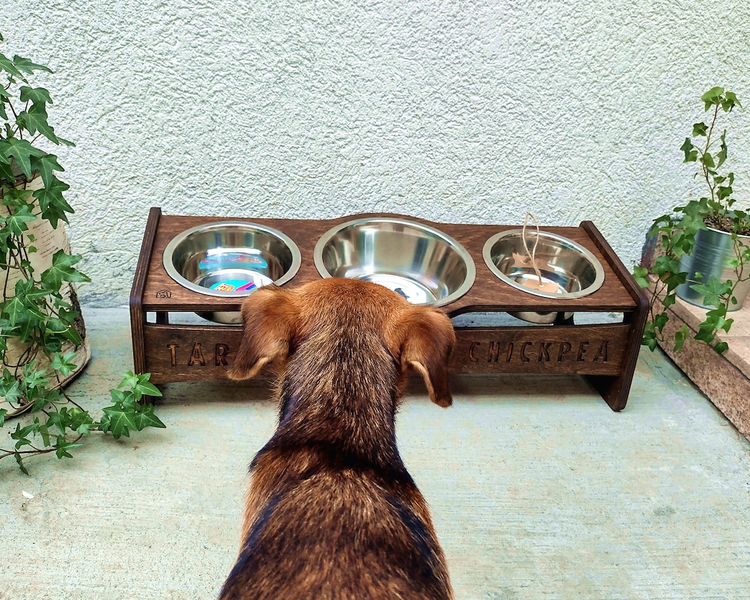 Buy Triple Raised Dog Bowl Food Stand With Personalised Name Tag and Mixed  Bowls, Elevated Feeding Station With 3 Bowls for All Dog Breeds Online in  India - Etsy