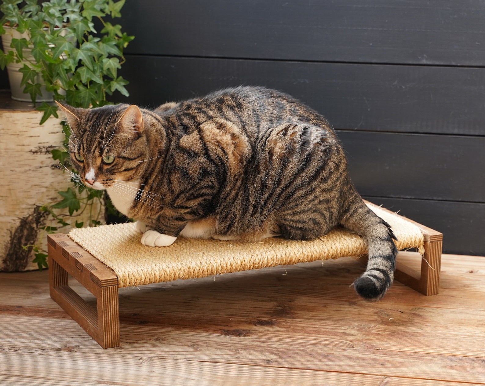 Modern Floor Cat Scratcher Cat Sisal Horizontal Board Cat Etsy