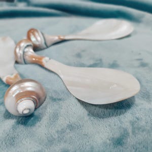 May include: Three mother of pearl spoons with brown and white swirl handles. The spoons are on a blue fuzzy surface.