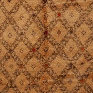 Pu&ograve; includere: Primo piano di un tappeto marrone e beige con un motivo a rombi. Il tappeto ha una texture morbida e soffice.