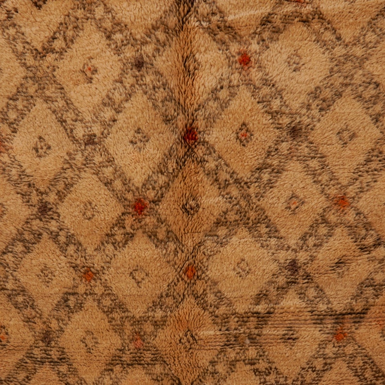 Pu&ograve; includere: Primo piano di un tappeto marrone e beige con un motivo a rombi. Il tappeto ha una texture morbida e soffice.