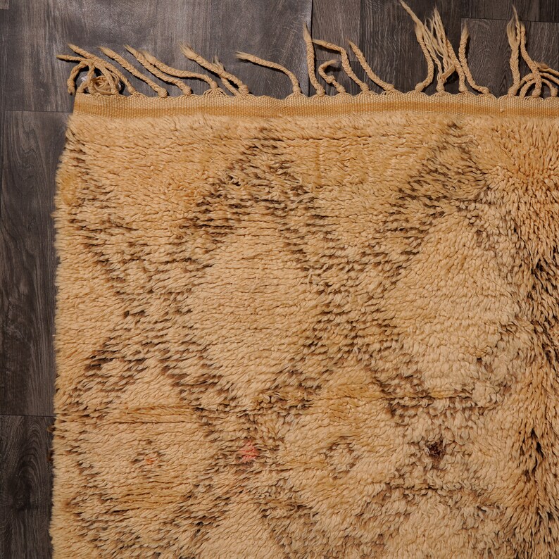 Pu&ograve; includere: Un tappeto marocchino di colore marrone chiaro e marrone con un motivo geometrico. Il tappeto ha un bordo a frangia.