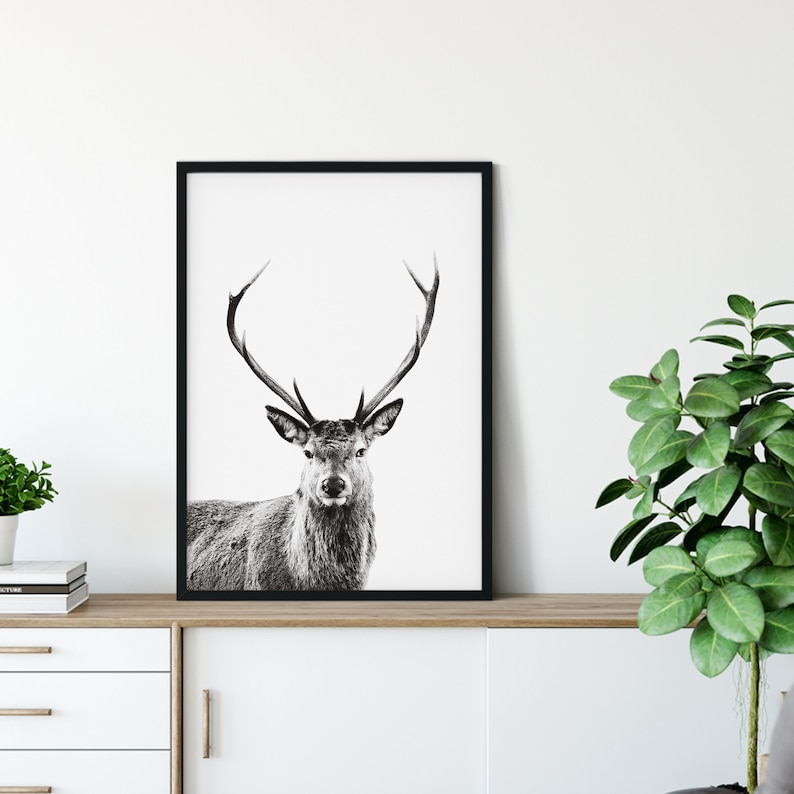 Deer Print v1, Forest Animal Wall Art, Stag Print, Deer Poster, Nursery Decor, Nature Photo, Portrait, Black & White, Deer Head, Antlers image 5