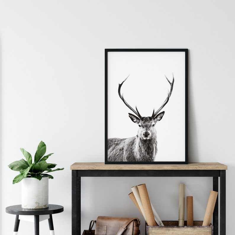 Deer Print v1, Forest Animal Wall Art, Stag Print, Deer Poster, Nursery Decor, Nature Photo, Portrait, Black & White, Deer Head, Antlers image 3