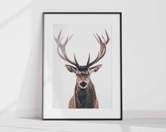 Deer Print v2, Forest Animal Wall Art, Stag Print, Deer Poster, Nursery Decor, Nature Photo, Portrait, Black & White, Deer Head, Antlers