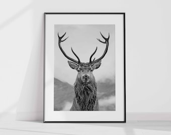 Deer Print v3, Forest Animal Wall Art, Stag Print, Deer Poster, Nursery Decor, Nature Photo, Portrait, Black & White, Deer Head, Antlers