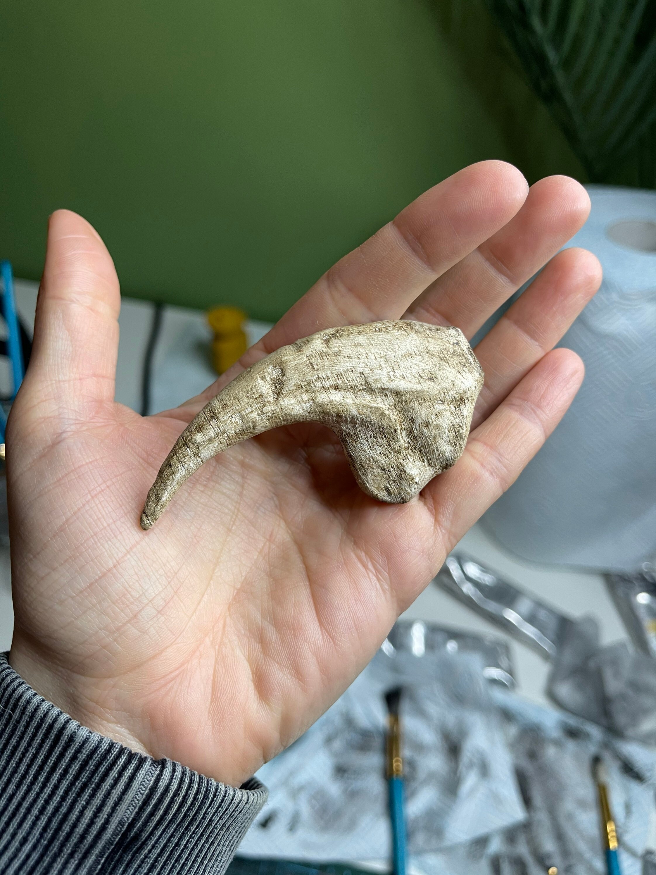 Dinosaurier Kralle Replik Dino Claw Dinosaurier Knochen | Etsy