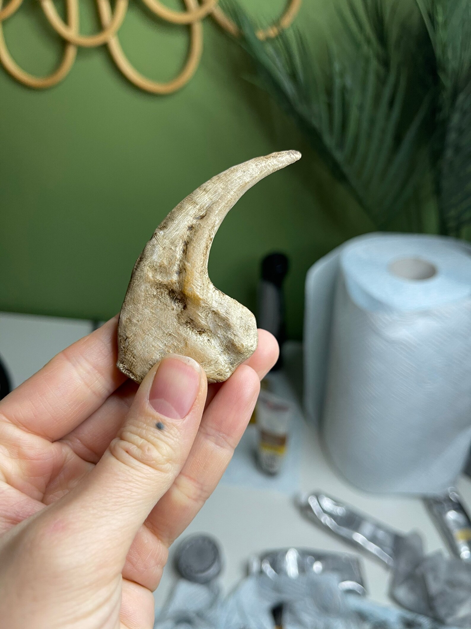 Dinosaurier Kralle Replik Dino Claw Dinosaurier Knochen | Etsy