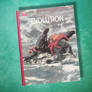 May include: A book from the "LIFE NATURE LIBRARY" series, titled "EVOLUTION". The cover shows marine iguanas and red crabs on a rock formation in the sea. The book has a red spine. The book's title is in white capital letters.