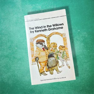 Der Wind in den Weiden von Kenneth Grahame Vintage 80er Jahre Klassiker Taschenbuchroman