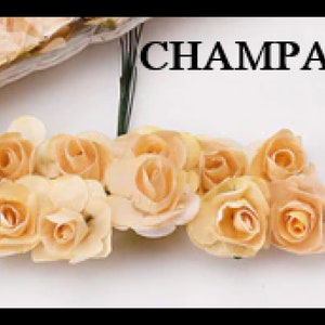 Puede incluir: Un ramo de 12 peque&ntilde;as rosas de papel de color melocot&oacute;n con tallos alambrados. Las rosas est&aacute;n dispuestas en un racimo y tienen un aspecto delicado y fruncido. El texto "CHAMPANGE" est&aacute; impreso en letras negras en la parte superior de la imagen.
