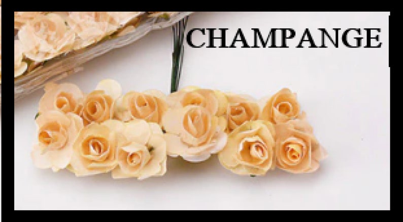 Puede incluir: Un ramo de 12 peque&ntilde;as rosas de papel de color melocot&oacute;n con tallos alambrados. Las rosas est&aacute;n dispuestas en un racimo y tienen un aspecto delicado y fruncido. El texto "CHAMPANGE" est&aacute; impreso en letras negras en la parte superior de la imagen.