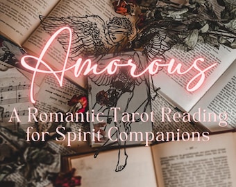 Amorous / A Romantic Tarot and Oracle Reading for Established Spirit Companion Relationships!