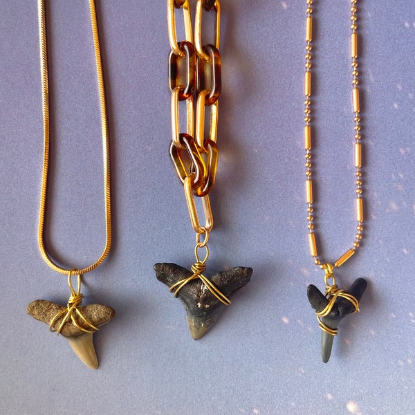 Gold Shark Tooth Necklaces