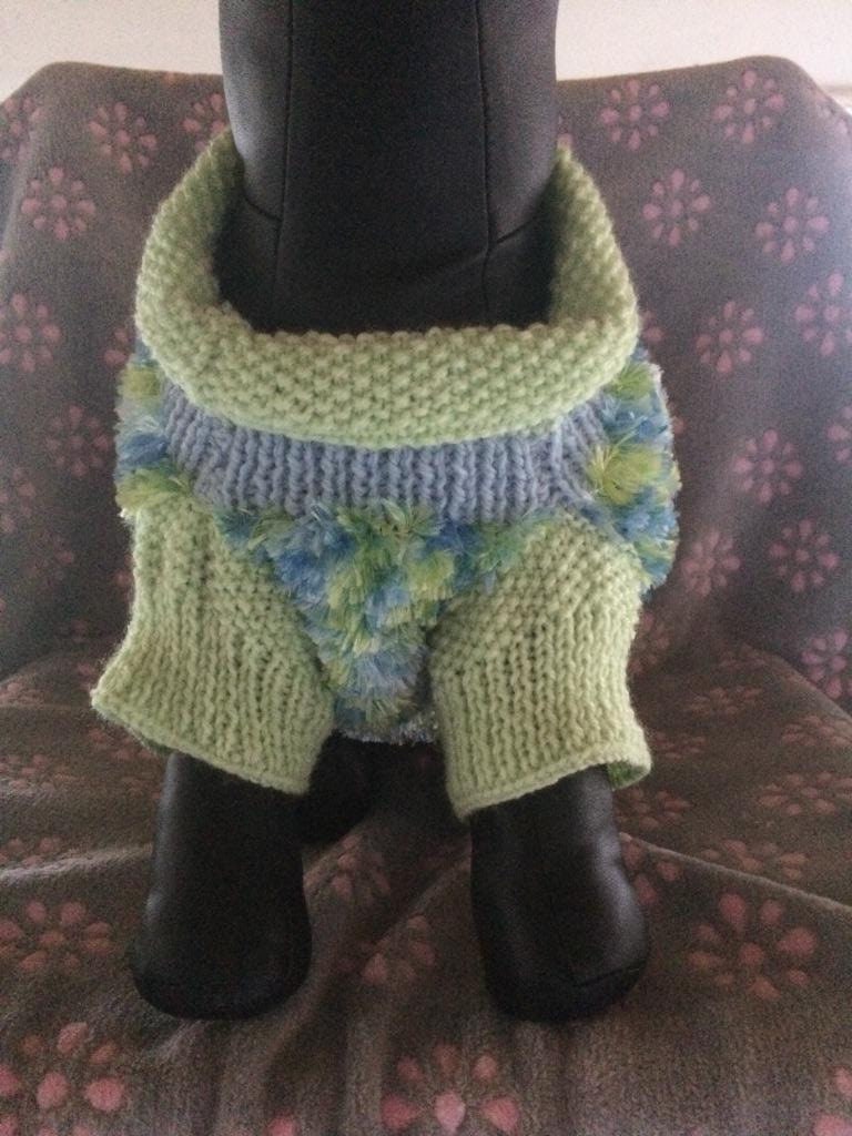 Ensemble Manteau Bonnet Bleu/Vert Pour Chien Moyen