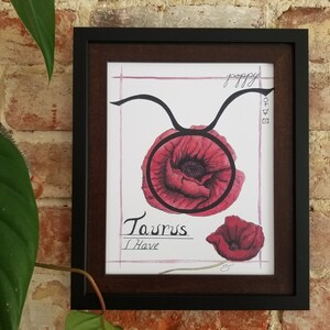 Estampa de papoula de Touro