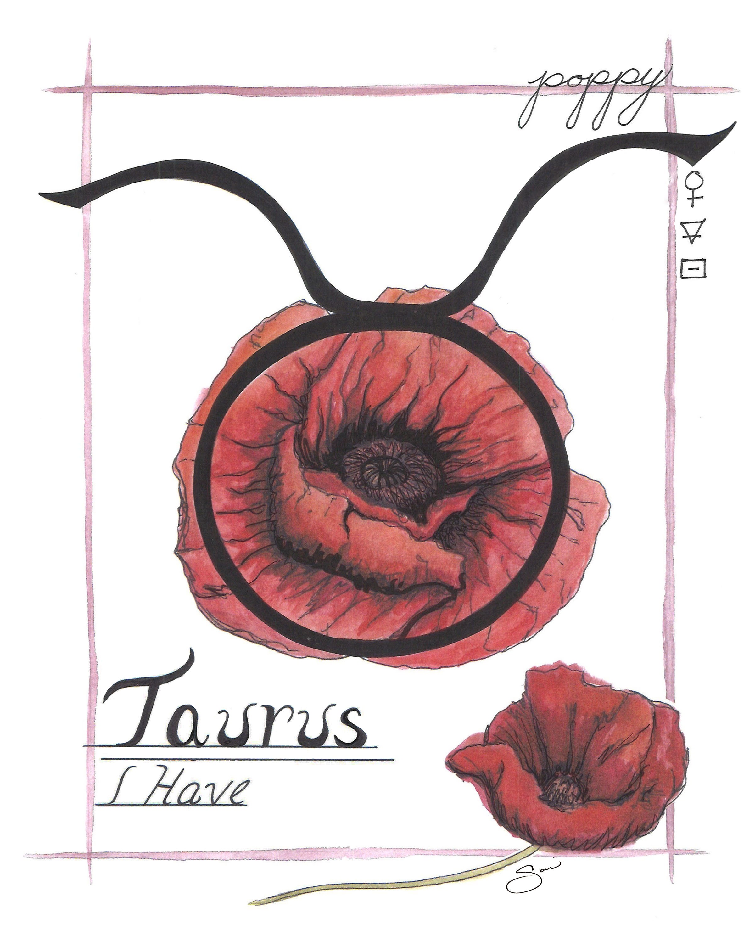 taurus-poppy-print-etsy