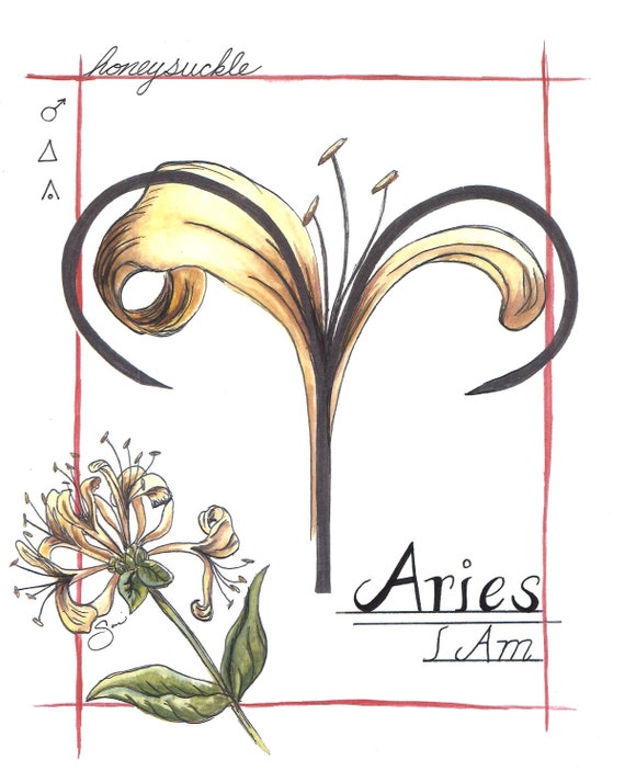 Lee✖️aries 花柄ジージャン archive 激レア Aries Honeysuckle Print - Etsy