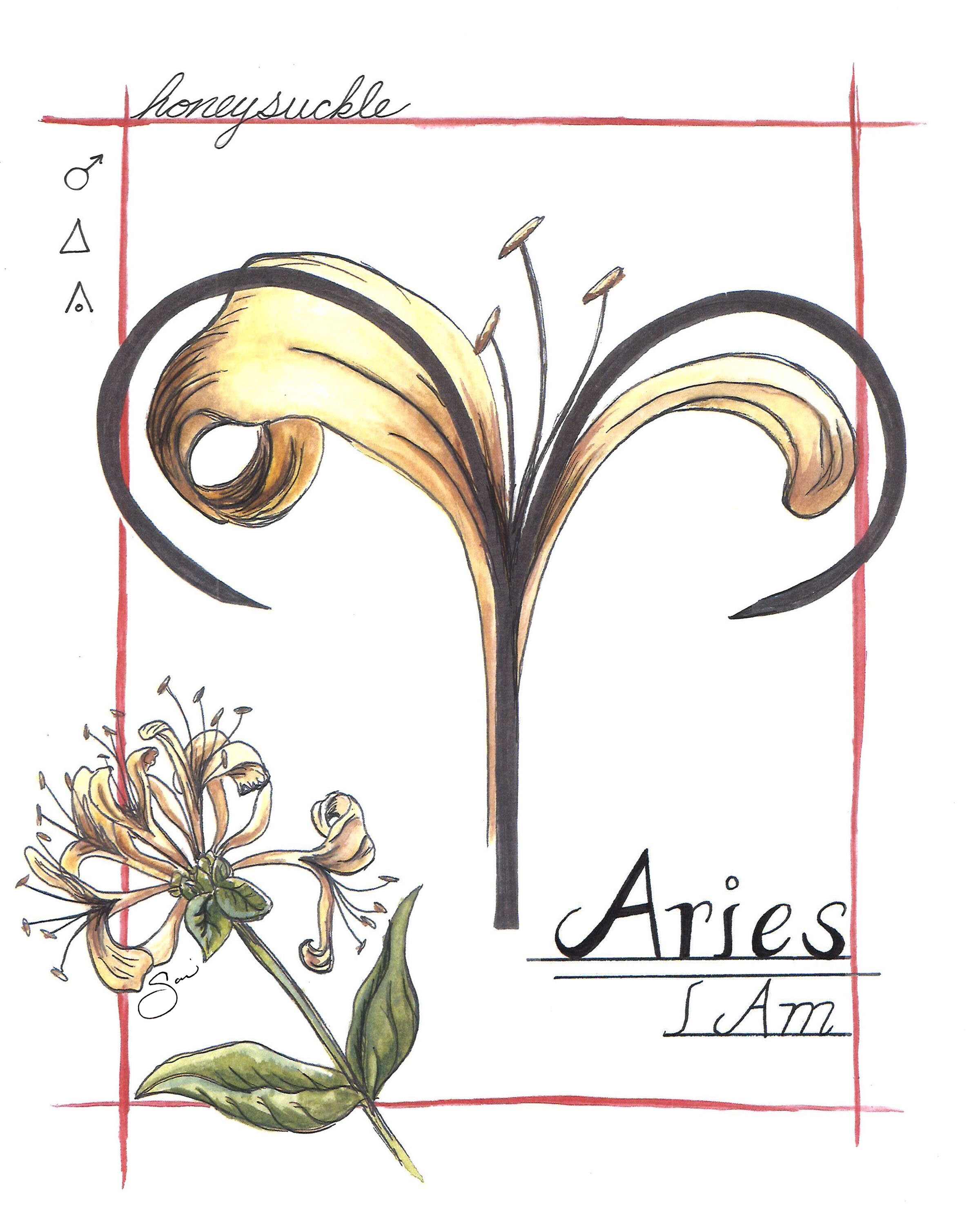 Aries Honeysuckle Print - Etsy