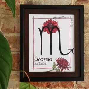 Stampa Scorpione Crisantemo