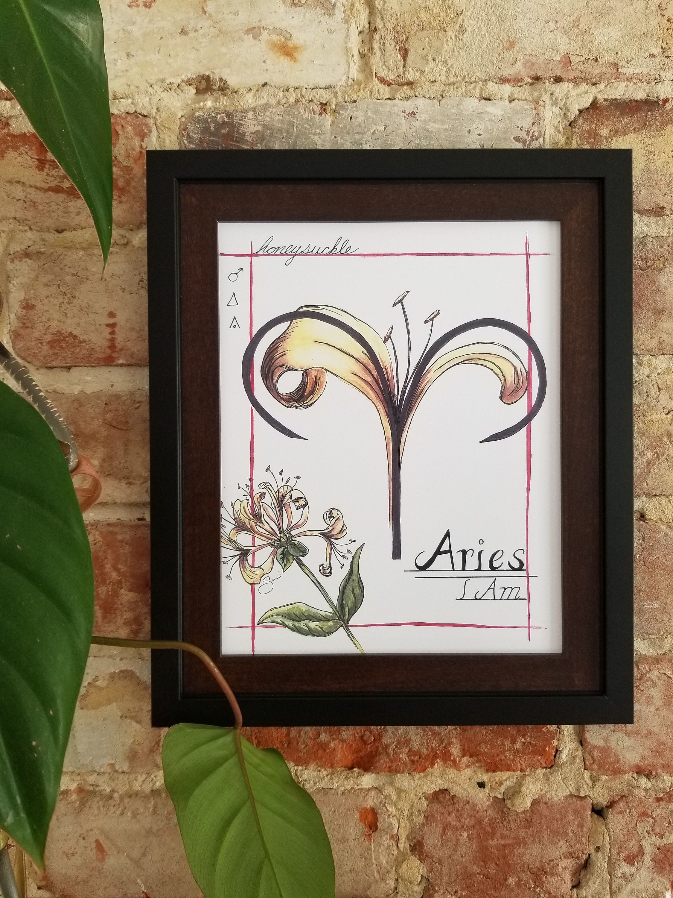 Aries Honeysuckle Print - Etsy