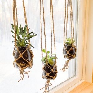 May include: Three hanging glass planters with succulents. Each glass jar is suspended by a woven macrame rope. The plants have green leaves and are filled with soil. The planters hang in front of a window.