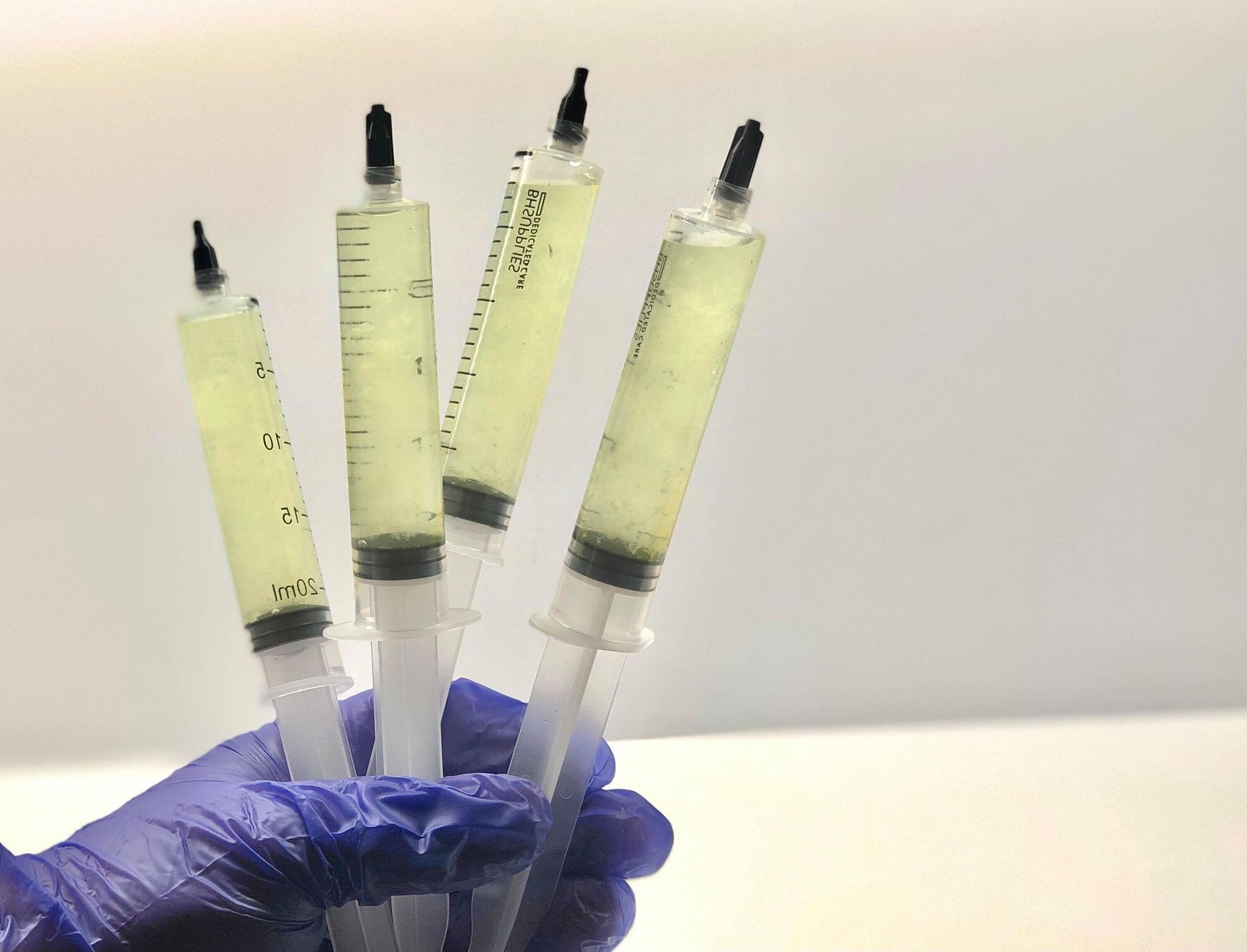 Gourmet Liquid Culture Syringes Etsy