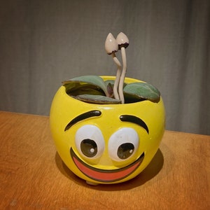 May include: A yellow ceramic smiley face plant pot with a smiling face, containing a small plant and two mushroom-shaped decorations. The pot sits on a wooden surface.