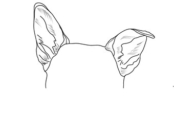 Dog Ear Drawing, Tattoo Design (One)