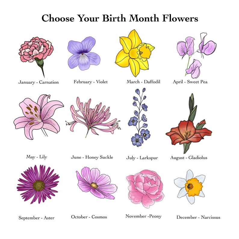 May include: An illustration featuring twelve different flowers, each representing a birth month. The flowers include a carnation, violet, daffodil, sweet pea, lily, honeysuckle, larkspur, gladiolus, aster, cosmos, peony, and narcissus. Text above reads "Choose Your Birth Month Flowers."