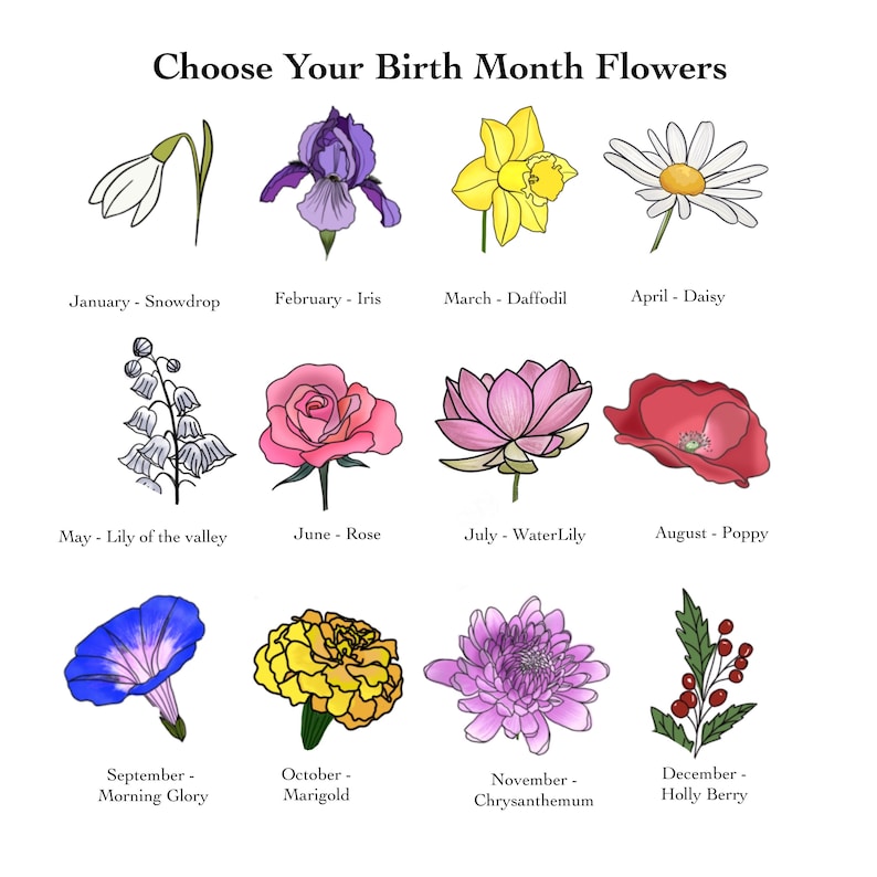May include: An illustration titled "Choose Your Birth Month Flowers" features twelve different flowers, each representing a month. The flowers include a snowdrop, iris, daffodil, daisy, lily of the valley, rose, water lily, poppy, morning glory, marigold, chrysanthemum, and holly berry.