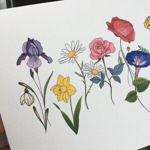 May include: A colorful floral illustration featuring a variety of flowers, including irises, daisies, roses, poppies, and morning glories. The flowers are depicted with detailed line art and vibrant colors, set against a white background.