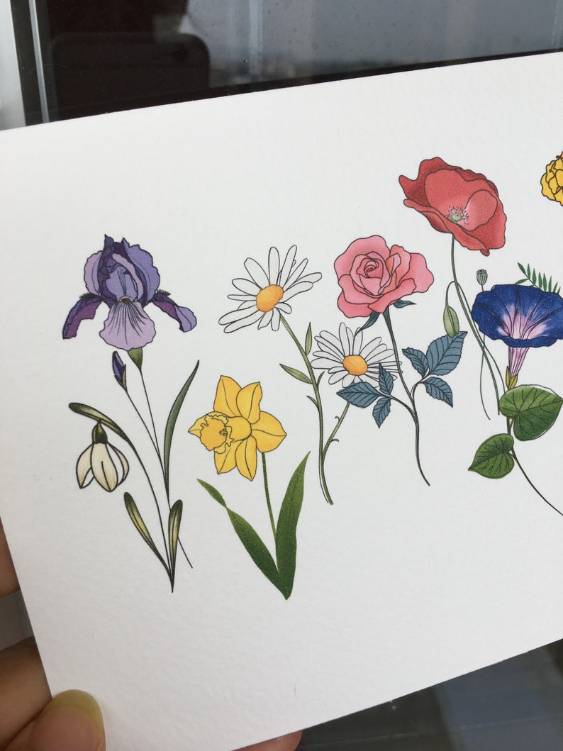 May include: A colorful floral illustration featuring a variety of flowers, including irises, daisies, roses, poppies, and morning glories. The flowers are depicted with detailed line art and vibrant colors, set against a white background.