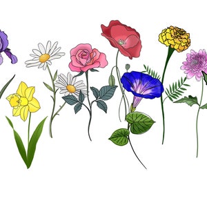 May include: A collection of colorful floral illustrations on a white background. The image features a variety of flowers, including irises, daisies, roses, poppies, morning glories, marigolds, chrysanthemums, and berries. Each flower is depicted with detailed line art and vibrant colors.