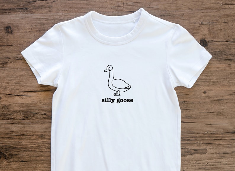 May include: White t-shirt with a black line drawing of a goose and the text "silly goose" printed on the front.