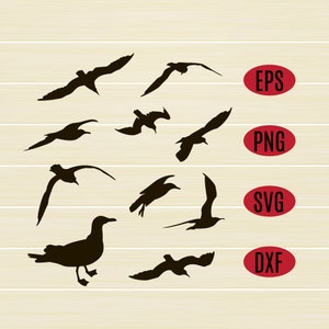 Seagull SVG Bundle, Seagull Clipart, flying birds silhouettes svg bundle, sea birds Eps, Png, Dxf, summer décor, beach shirt svg design