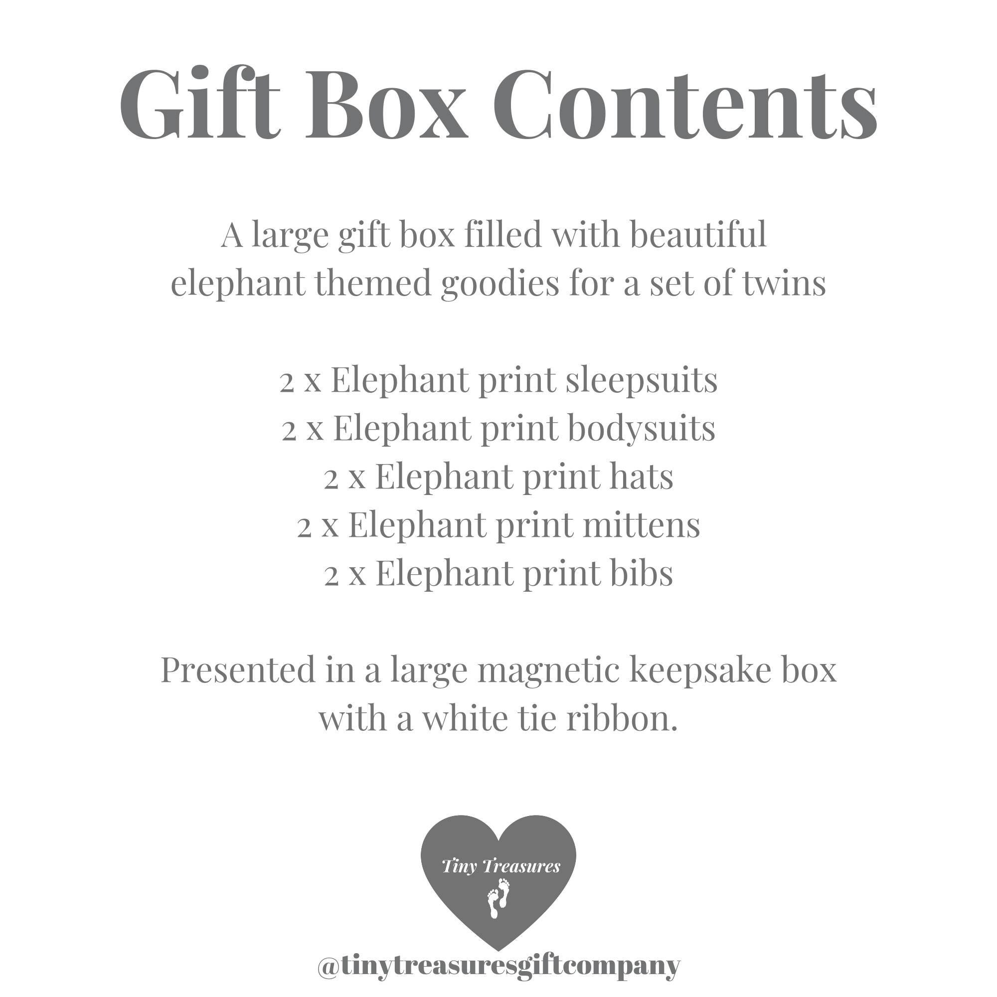 Twin Baby Gift Box, Twin Unisex Baby Gift Hamper, Twin Baby Shower Gift