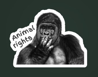 Stop Animal Abuse - Etsy Canada Stop Animal Abuse - Etsy Canada