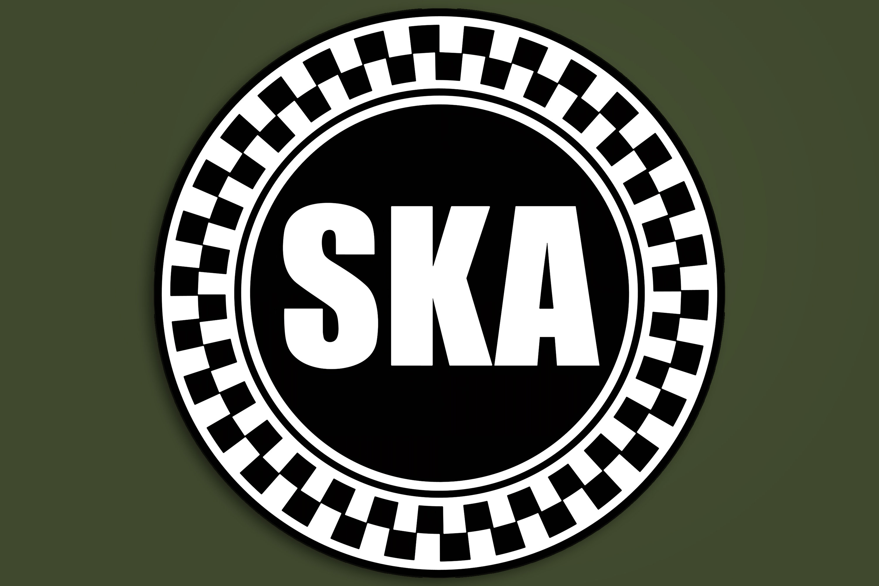 Skank (Licensed To Ska) UK スカ V.A. / Skank (Licensed To Ska) [12inch アナログ]【ユーズド