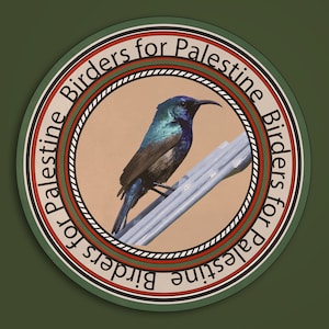 Palestina Sunbird Stickers, Birders voor Palestina Sticker, Gratis Palestina, Palestina sticker, Palestijnse vlag Sticker, Keffiyeh, Verzet