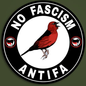 Antifa, Adesivi No fascismo, Anti nazista, Antifascista, Smash fascismo, Combatti il fascismo, Adesivi antifascisti di zona antifa, Odio nazisti