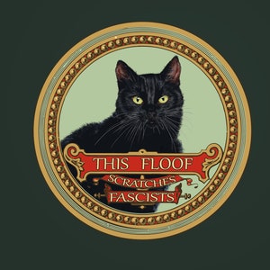 Antifa, Questo floof graffia i fascisti Adesivi, Adesivi in vinile resistenti alle intemperie, Antifascist Cats Friends, Anti nazi cat, Eat the rich