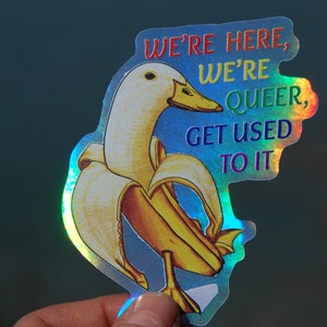 Estamos aquí, somos raros, acostúmbrate, pegatina, gay, pegatina de vinilo para portátil, Lgbtq, queer, pegatina de ganso, orgullo, pegatina de arco iris, ellos/ellos