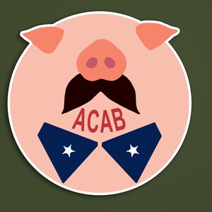 Adesivo Acab, Tutti i gatti sono bellissimi Adesivo, Adesivo 1312, Adesivo Anarchia, Fanculo la polizia, Antifascista, BLM, PUNK, ACAB, Adesivo Antifa