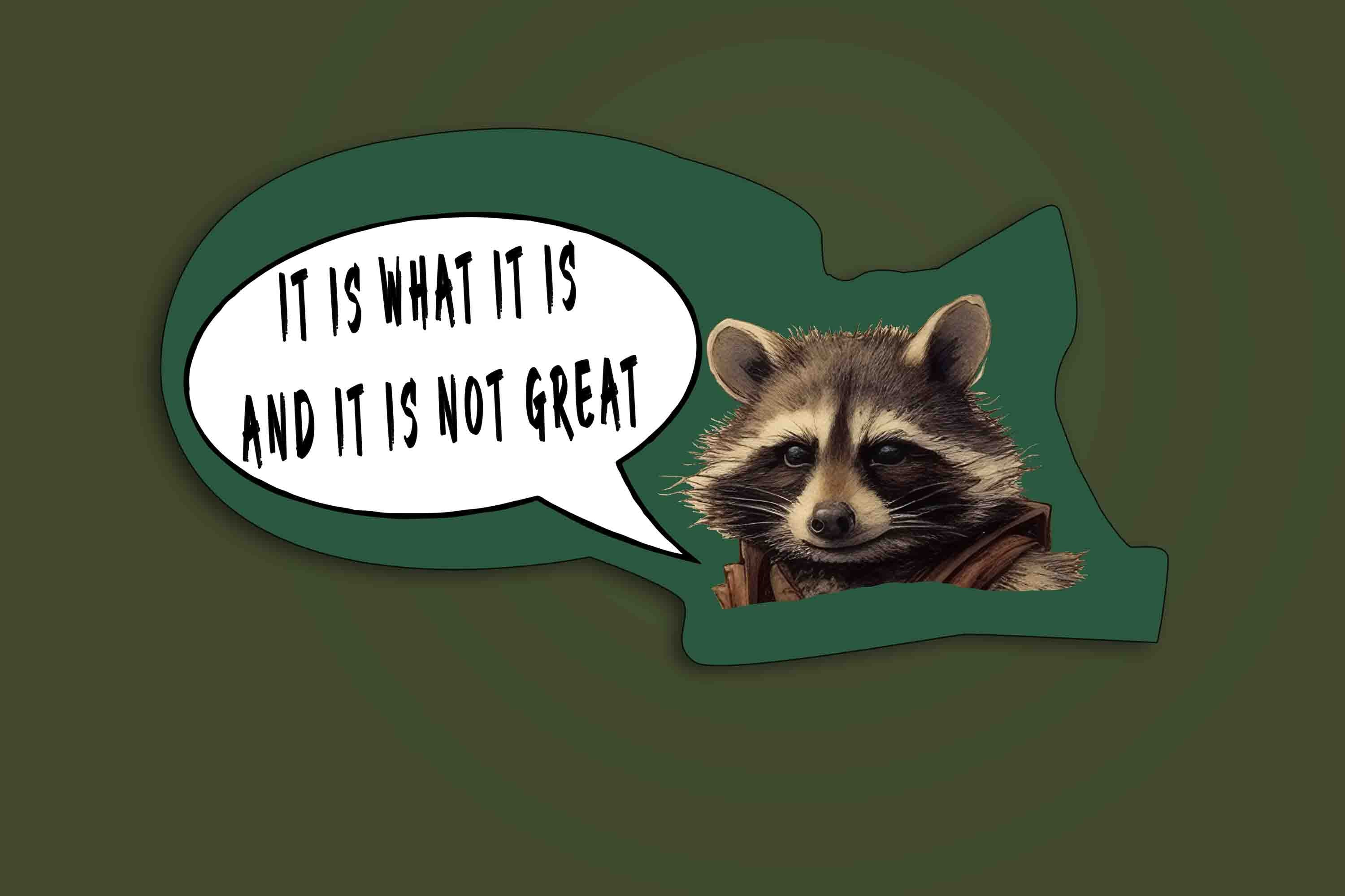Lustiger Waschbär-Meme Aufkleber – 'It Is What It Is' Vinyl, Wasserdicht